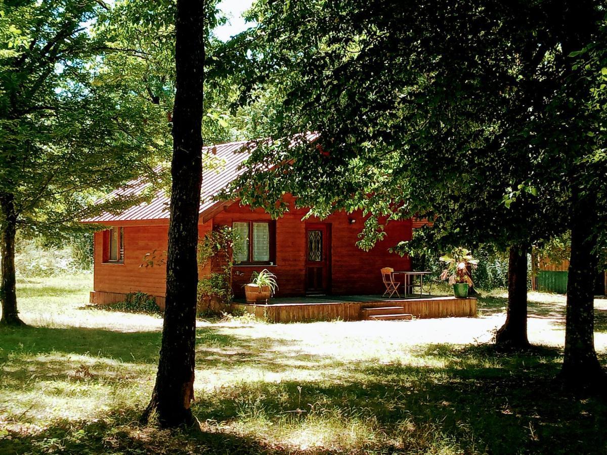 Chalet En Foret, Brame Du Cerf Valpuiseaux Buitenkant foto